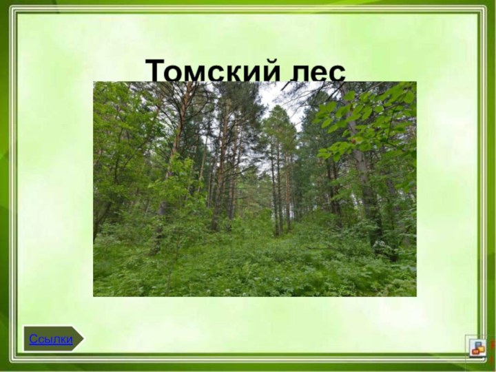 Томский лесСсылки