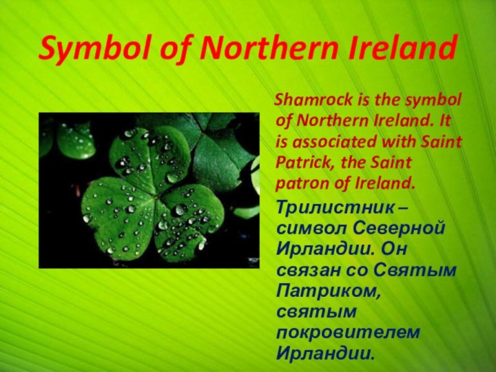 Symbol of Northern Ireland  Shamrock is the symbol of Northern Ireland.