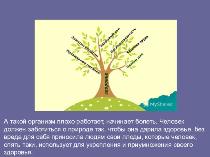 А такой организм плохо работает, начинает болеть. Человек должен заботиться о природе