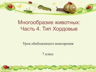 Презентация по биологии на тему Хордовые, Ланцетник (7 класс, подготовка к ОГЭ)