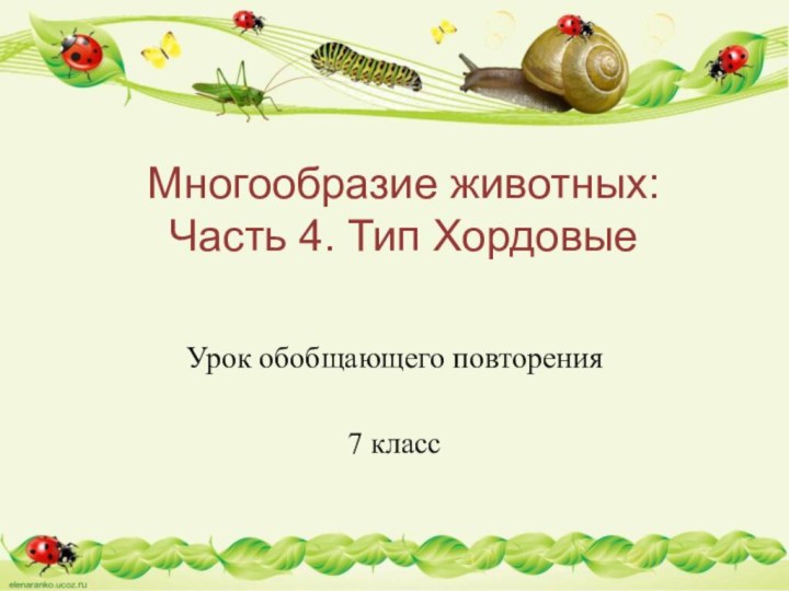 Многообразие животных:  Часть 4. Тип ХордовыеУрок обобщающего повторения7 класс