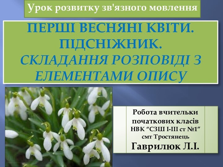 Перші весняні квіти. Підсніжник.  Складання розповіді з елементами описуУрок розвитку зв'язного