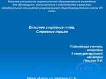 Внешнее строение птиц. Строение перьев