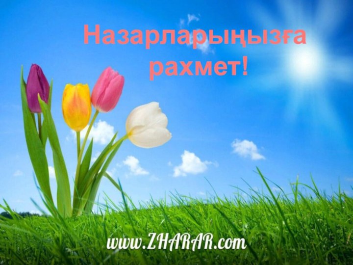 Назарларыңызға рахмет!