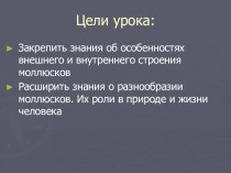 Презентация по биологии к уроку по теме Многообразие моллюсков, их значение в природе и жизни человека (7 класс)