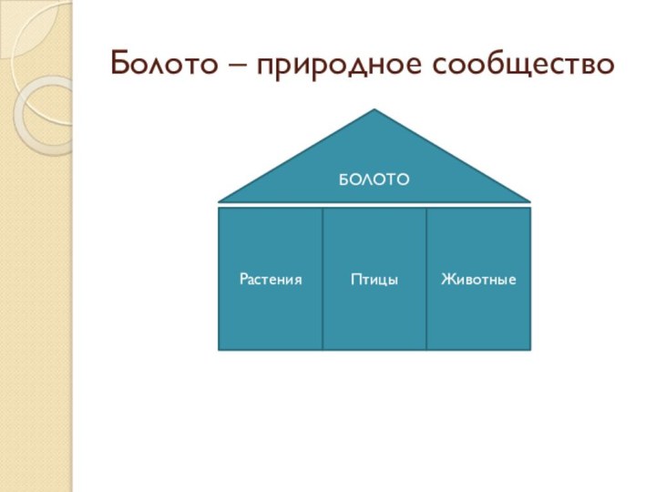 Болото – природное сообщество Растения Птицы Животные БОЛОТО