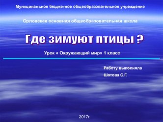 Презентация по окружающему миру на тему Как зимуют птицы?