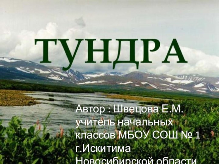 Автор : Швецова Е.М. учитель начальных классов МБОУ СОШ № 1 г.Искитима Новосибирской области