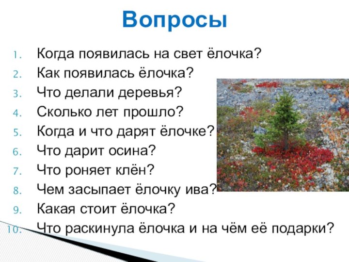 Когда появилась на свет ёлочка?Как появилась ёлочка?Что делали деревья?Сколько лет прошло?Когда и