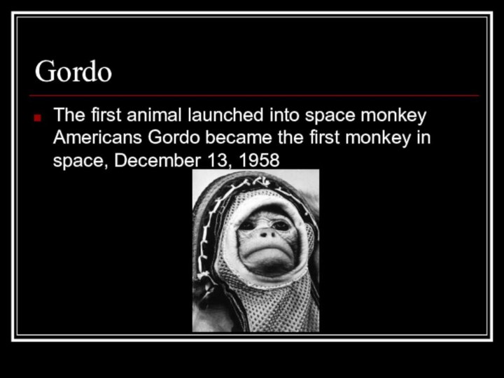 GordoThe first animal launched into space monkey Americans Gordo became the first