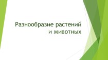 Презентация Разнообразие растений и животных (1 класс)