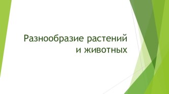 Презентация Разнообразие растений и животных (1 класс)