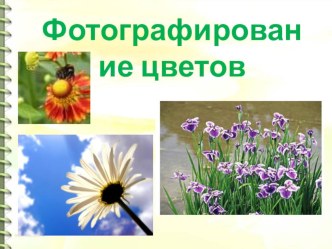 Презентация Фотографирование цветов