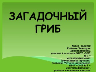 Презентация к исследовательской работе Загадочный гриб