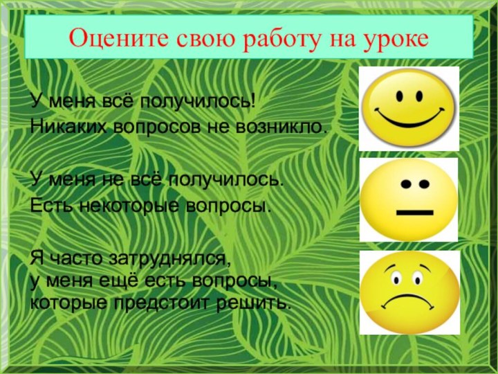 Оцените свою работу на урокеУ меня всё получилось!Никаких вопросов не возникло.У меня