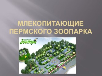 Презентация по окружающему миру Млекопитающие Пермского зоопарка