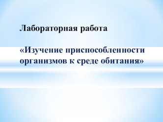 Лабораторная работа Приспособленность организмов