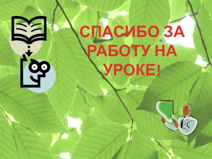 СПАСИБО ЗА РАБОТУ НА УРОКЕ!