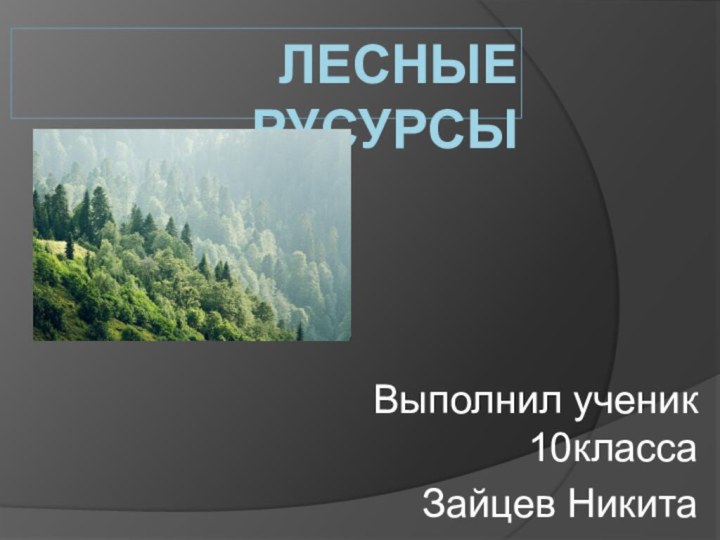 ЛЕСНЫЕ  РУСУРСЫВыполнил ученик 10классаЗайцев Никита