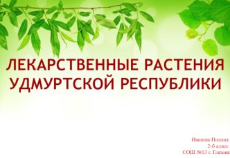 Презентация к проекту Лекарственные растения Удмуртии от простудных заболеваний