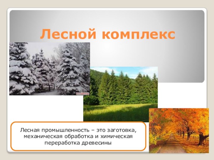 Лесной комплексЛесная промышленность – это заготовка, механическая обработка и химическая переработка древесины