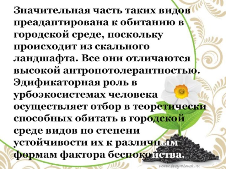 Значительная часть таких видов преадаптирована к обитанию в городской среде, поскольку происходит