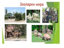 Проект на урок: Зоопарки мира