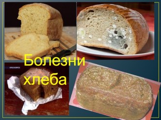Презентация по профессии 19.01.04 Пекарь на тему Болезни хлеба