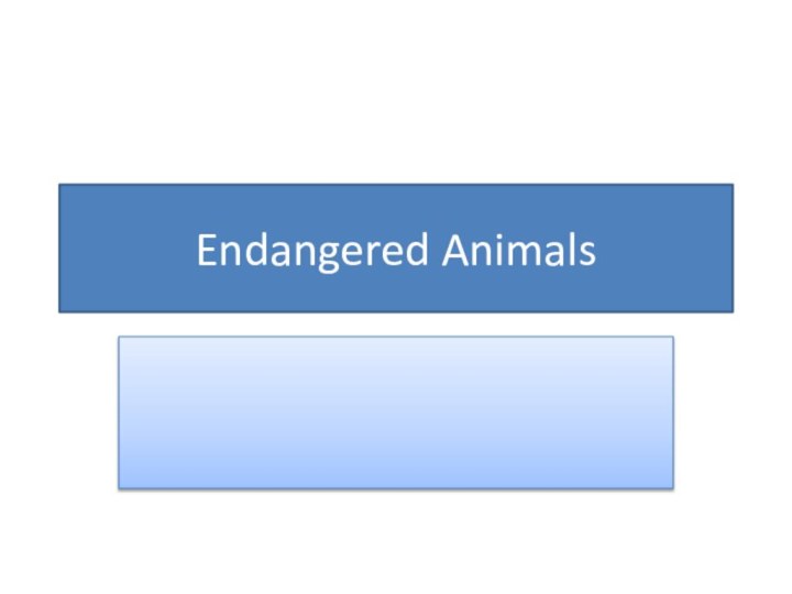 Endangered Animals