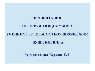 Презентация по теме Зоологический музей