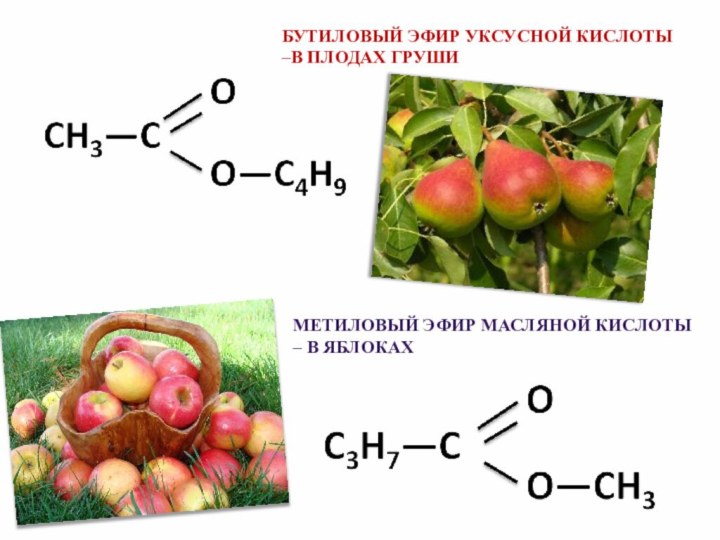 Бутановый эфир пропановой кислоты