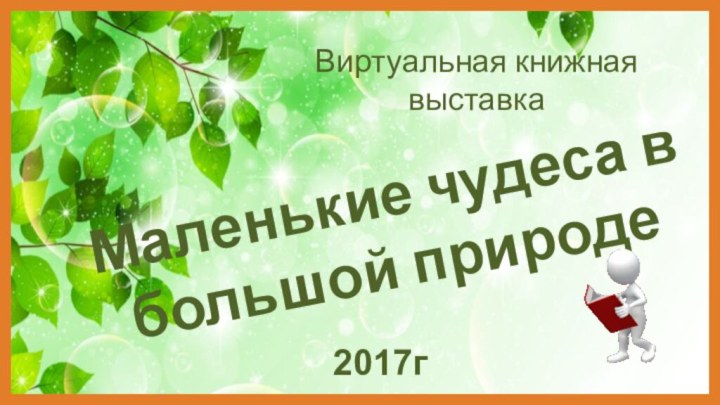 Маленькие чудеса в большой природеВиртуальная книжная выставка2017г