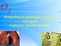 Презентация по биологии на тему Потребность организма человека в кислороде. Строение органов дыхания(8 класс)