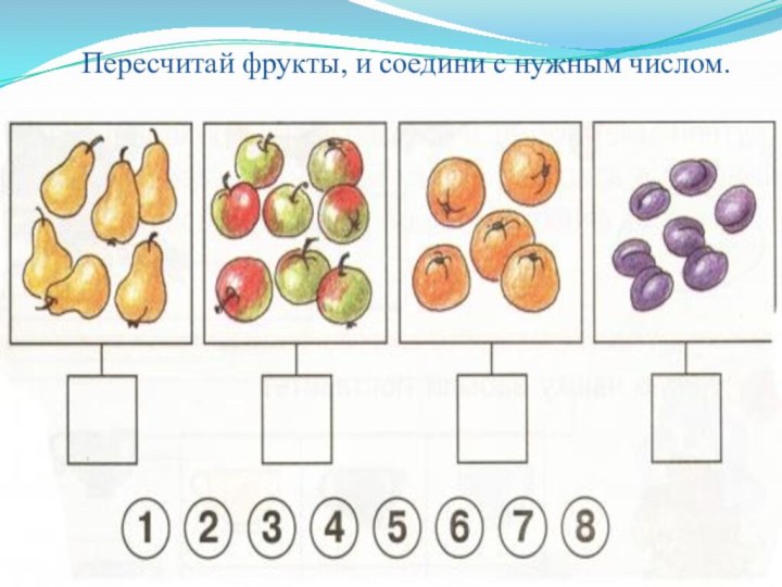 Пересчитай фрукты, и соедини с нужным числом.