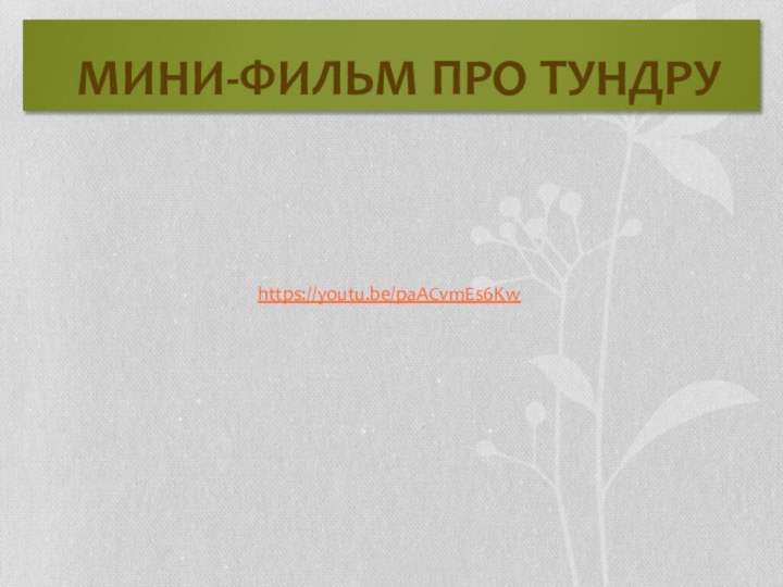 Мини-фильм про тундруhttps://youtu.be/paACvmEs6Kw