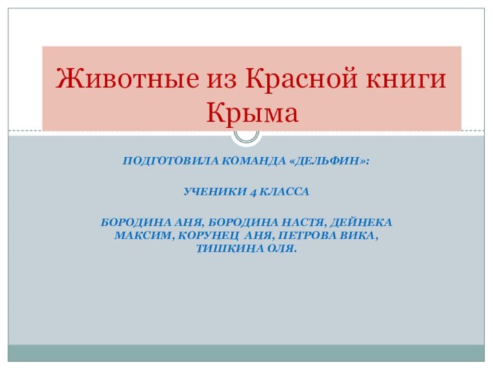 Подготовила команда «Дельфин»:Ученики 4 классаБородина Аня, Бородина Настя, Дейнека Максим, Корунец Аня,