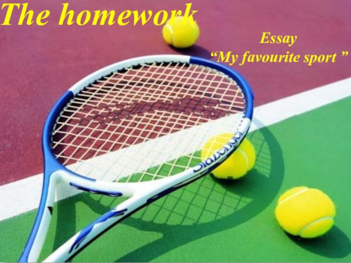 The homeworkEssay “My favourite sport ”
