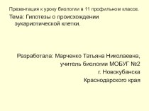 Презентация по биологии для 11 класса по теме Происхождение эукариотической клетки, основные гипотезы