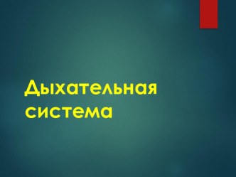 Презентация по биологии для 8 класса на тему Дыхательная система