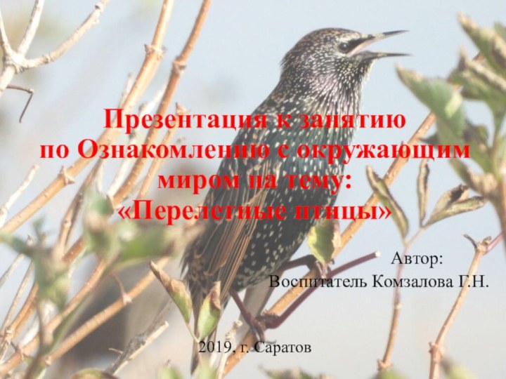 Презентация к занятию по Ознакомлению с окружающим миром на тему:«Перелетные птицы»