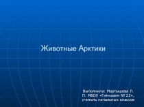 Презентация по окружающему миру на тему Животные Арктики (4 класс)