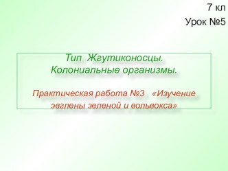 Презентация к уроку зоологии в 7 классе по теме Тип Жгутиконосцы. Колониальные организмы