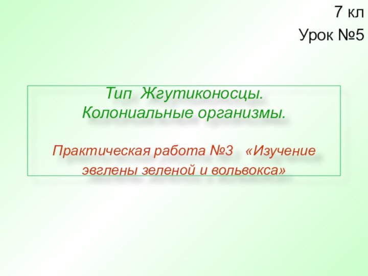 Тип Жгутиконосцы.  Колониальные организмы.   Практическая работа №3  «Изучение