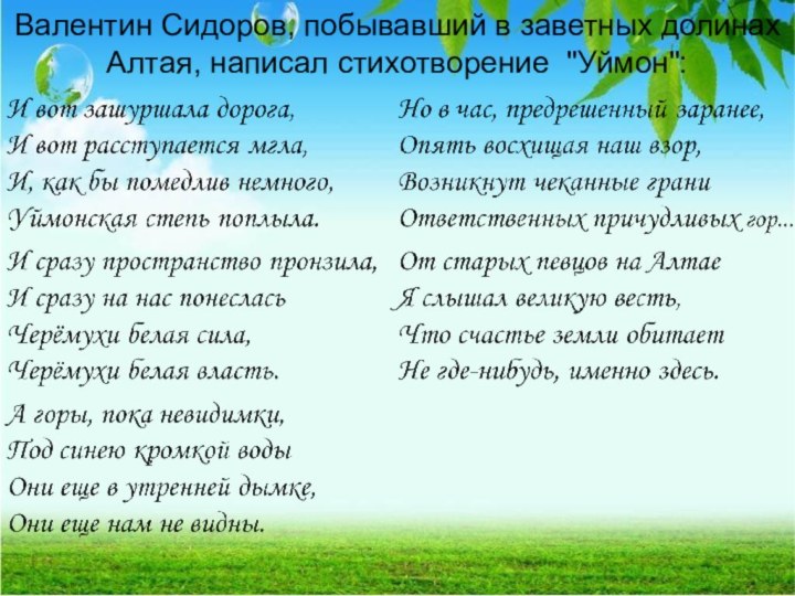 Валентин Сидоров, побывавший в заветных долинах Алтая, написал стихотворение 