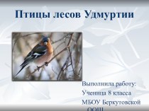 Презентация по географии Удмуртии на тему Птицы лесов ( 8 класс)