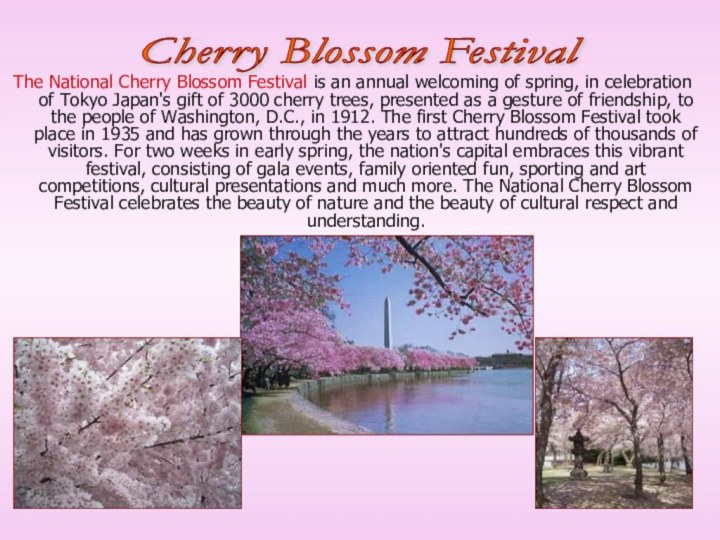 The National Cherry Blossom Festival is an annual welcoming of spring, in