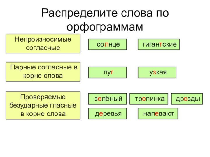 Распределите слова по орфограммамНепроизносимые согласные Парные согласные в корне словаПроверяемые безударные гласные