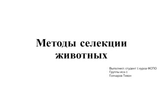 Автор Гончаров Т. Презентация по биологии Методы селекции животных