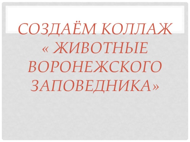 Создаём коллаж          « Животные Воронежского заповедника»