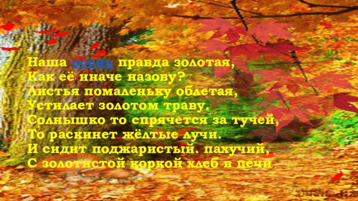 Наша осень правда золотая, Как её иначе назову? Листья помаленьку облетая,